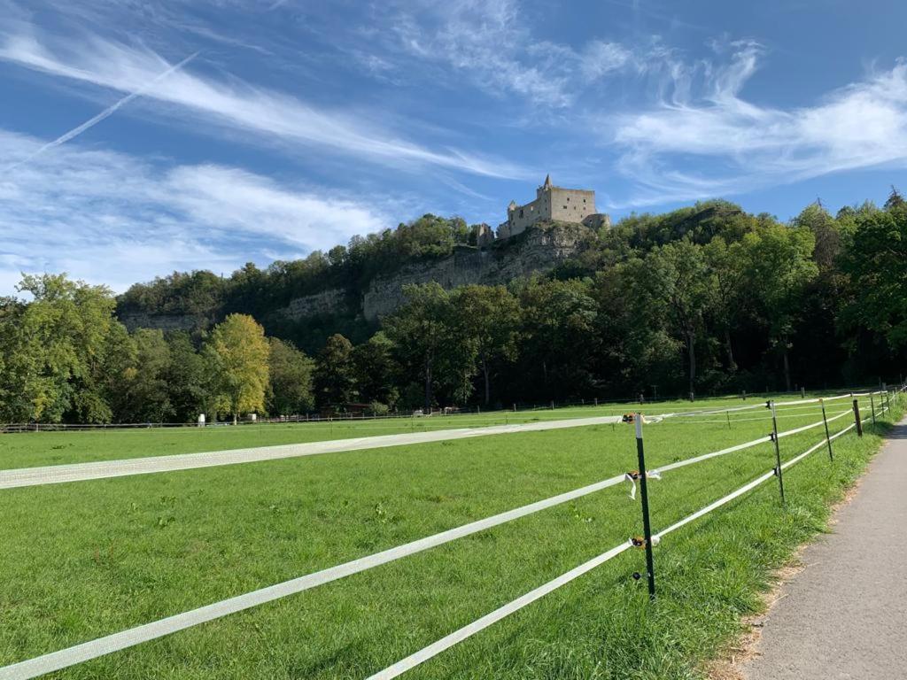 Hotel Garni Zum Rebstock ナウムブルク エクステリア 写真