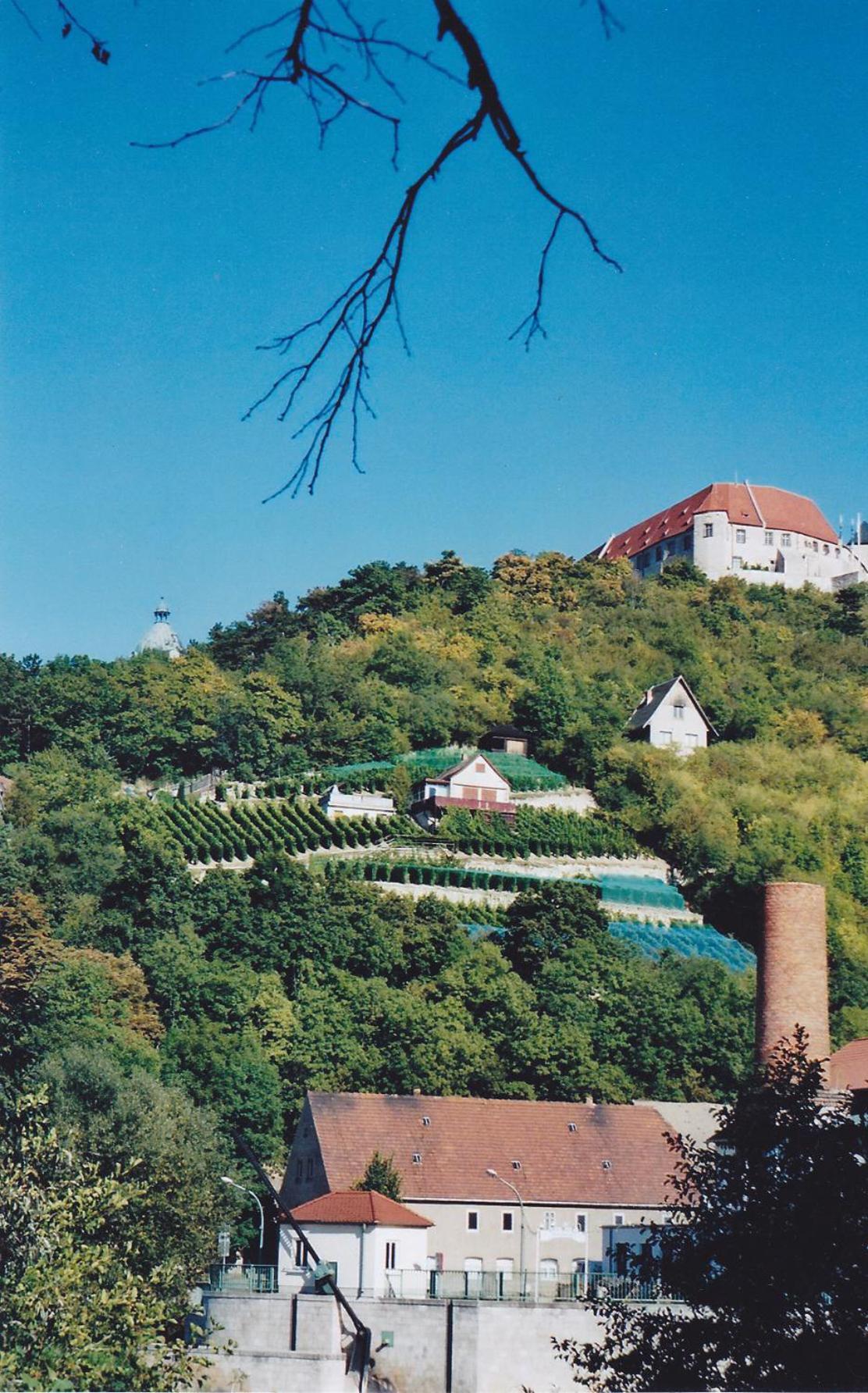 Hotel Garni Zum Rebstock ナウムブルク エクステリア 写真