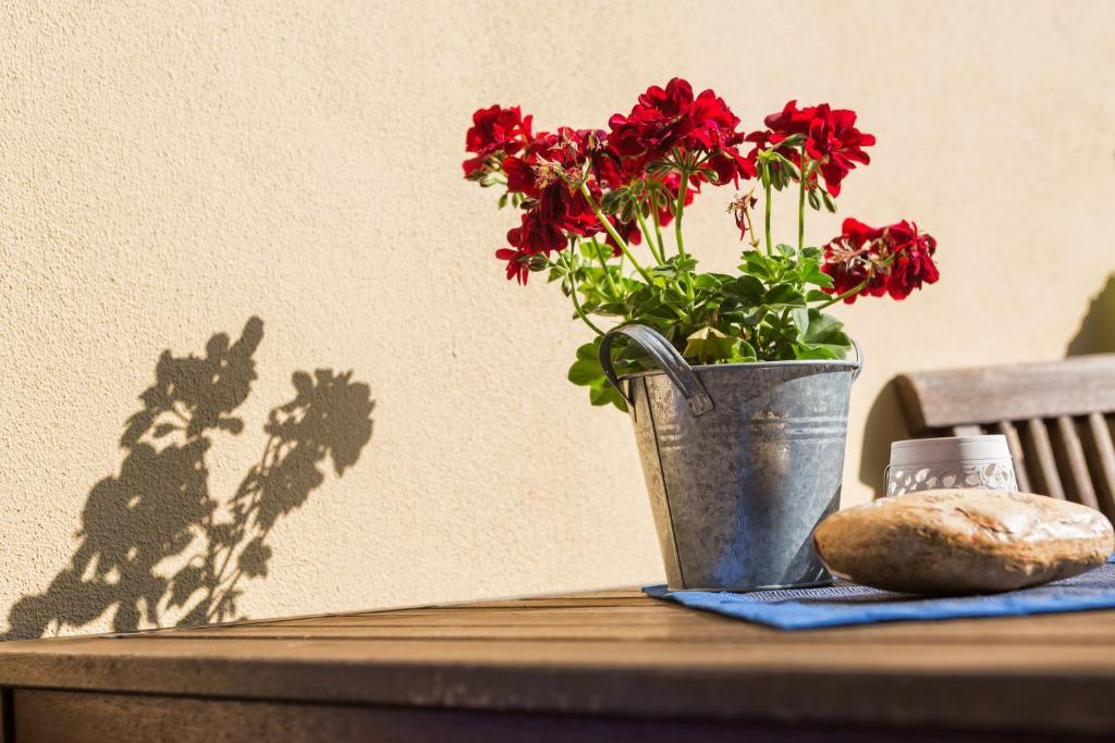 Hotel Garni Zum Rebstock ナウムブルク 部屋 写真